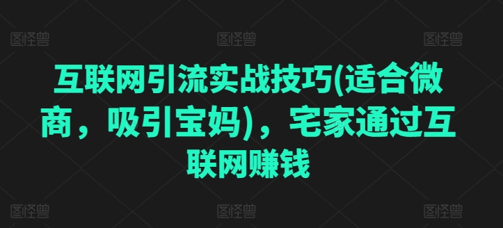 互联网引流实战技巧(适合微商，吸引宝妈)，宅家通过互联网赚钱-沐风资源库