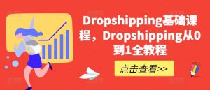 Dropshipping基础课程，Dropshipping从0到1全教程-沐风资源库