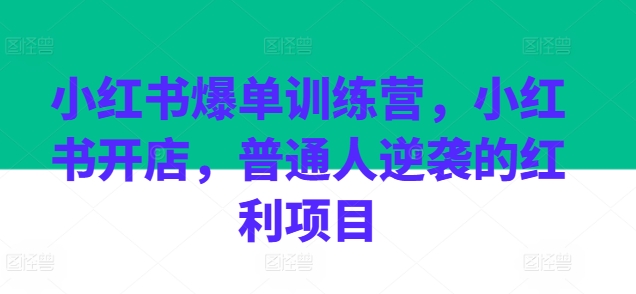 小红书爆单训练营，小红书开店，普通人逆袭的红利项目-沐风资源库