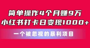 简单操作4个月赚9w，小红书打卡日变现1k，一个被忽视的暴力项目【揭秘】-沐风资源库