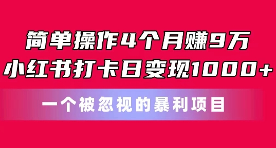 简单操作4个月赚9w，小红书打卡日变现1k，一个被忽视的暴力项目【揭秘】-沐风资源库