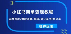 小红书商单变现教程：起号涨粉/爆款选题/剪辑/蒲公英/好物分享/各种玩法-沐风资源库