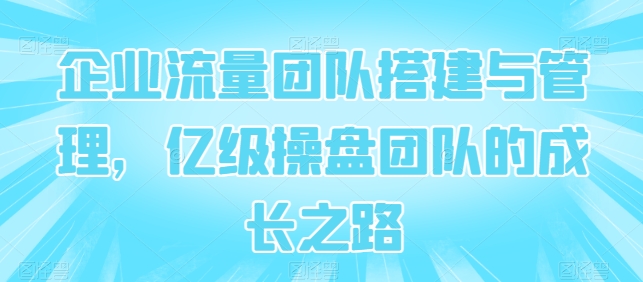 企业流量团队搭建与管理，亿级操盘团队的成长之路-沐风资源库