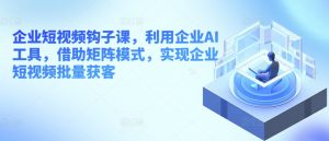 企业短视频钩子课，利用企业AI工具，借助矩阵模式，实现企业短视频批量获客-沐风资源库
