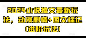 2024小说推文最新玩法，动漫剧情+图文标记(进阶玩法)-沐风资源库