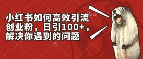 小红书如何高效引流创业粉，日引100+，解决你遇到的问题【揭秘】-沐风资源库