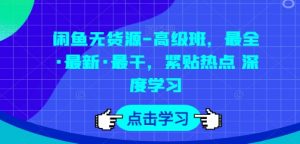 闲鱼无货源-高级班，最全·最新·最干，紧贴热点 深度学习-沐风资源库