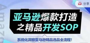 【训练营】亚马逊爆款打造之精品开发SOP，系统化洞察亚马逊精品选品全流程-沐风资源库