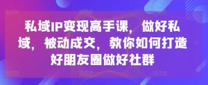 私域IP变现高手课，做好私域，被动成交，教你如何打造好朋友圈做好社群-沐风资源库