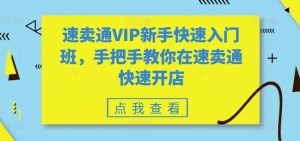速卖通VIP新手快速入门班，手把手教你在速卖通快速开店-沐风资源库