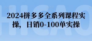 2024拼多多全系列课程实操，日销0-100单实操【必看】-沐风资源库
