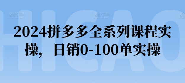 2024拼多多全系列课程实操，日销0-100单实操【必看】-沐风资源库