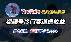 视频号冷门赛道撸收益，YouTube搬运极限运动集锦，暴力起号，操作简单流量高，轻松日入5张【揭秘】-沐风资源库