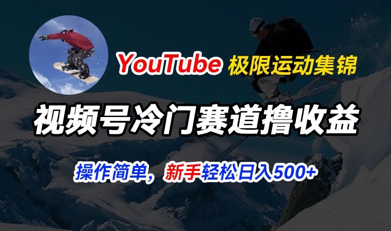 视频号冷门赛道撸收益，YouTube搬运极限运动集锦，暴力起号，操作简单流量高，轻松日入5张【揭秘】-沐风资源库