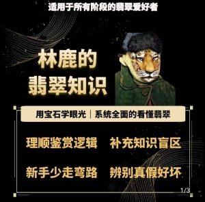 林鹿的翡翠知识，​用宝石眼光，系统全面的看懂翡翠-沐风资源库