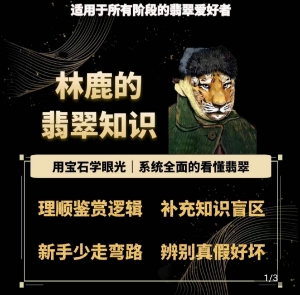 林鹿的翡翠知识，​用宝石眼光，系统全面的看懂翡翠-沐风资源库