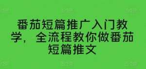 番茄短篇推广入门教学，全流程教你做番茄短篇推文-沐风资源库