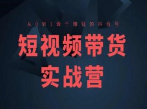 短视频带货实战营(高阶课)，从0到1做个赚钱的抖音号-沐风资源库