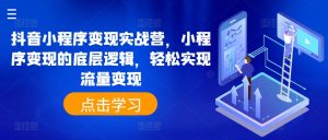 抖音小程序变现实战营，小程序变现的底层逻辑，轻松实现流量变现-沐风资源库