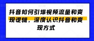 抖音如何引爆视频流量和变现逻辑，深度认识抖音和变现方式-沐风资源库