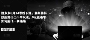 拼多多6月14号线下课，最新黑科技起爆日出千单玩法，0元直通车如何起飞一条链接-沐风资源库