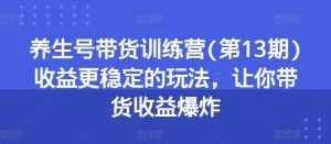 养生号带货训练营(第13期)收益更稳定的玩法，让你带货收益爆炸-沐风资源库