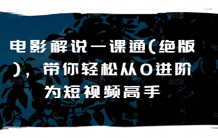 电影解说一课通(绝版)，带你轻松从0进阶为短视频高手-沐风资源库