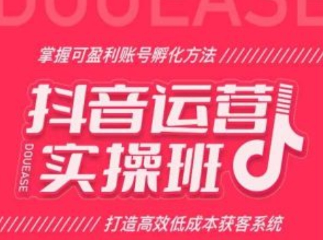 抖音运营实操班，掌握可盈利账号孵化方法，打造高效低成本获客系统-沐风资源库