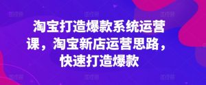 淘宝打造爆款系统运营课，淘宝新店运营思路，快速打造爆款-沐风资源库