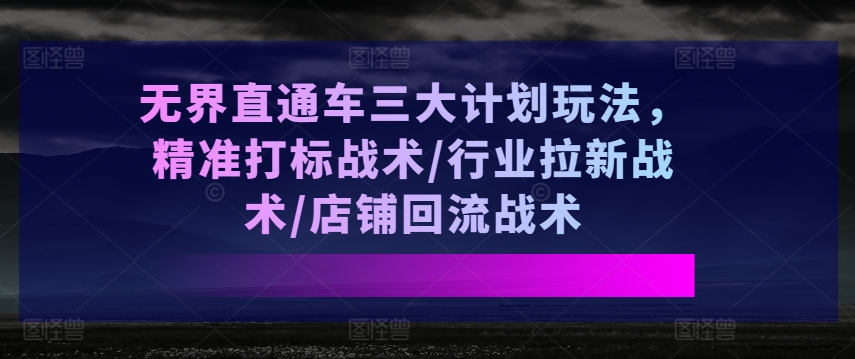 无界直通车三大计划玩法，精准打标战术/行业拉新战术/店铺回流战术-沐风资源库