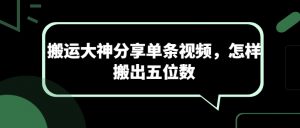 搬运大神分享单条视频，怎样搬出五位数-沐风资源库