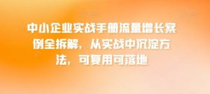 中小企业实战手册流量增长案例全拆解，从实战中沉淀方法，可复用可落地-沐风资源库