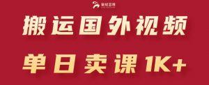 搬运国外视频，引流创业粉，单日卖课1K+【揭秘】-沐风资源库
