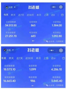 最新抖音无人直播项目，外面收费10w+的爆力玩法，当天必出单-沐风资源库