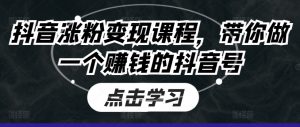 抖音涨粉变现课程，带你做一个赚钱的抖音号-沐风资源库