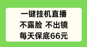 一键挂JI直播，不露脸不出境，每天保底66元【揭秘】-沐风资源库