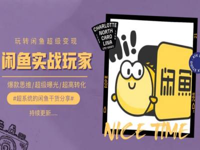 手把手教你0到1系统玩转闲鱼变现，爆款思维/超级曝光/超高转化-沐风资源库