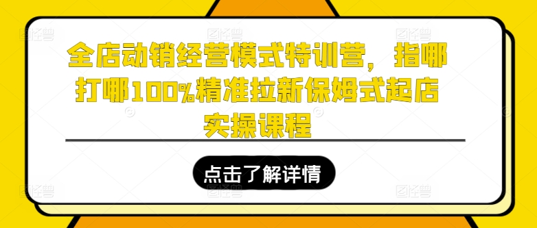 全店动销经营模式特训营，指哪打哪100%精准拉新保姆式起店实操课程-沐风资源库