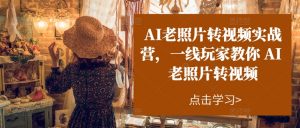 AI老照片转视频实战营，一线玩家教你AI老照片转视频-沐风资源库
