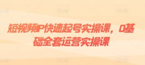 短视频IP快速起号实操课，0基础全套运营实操课，爆款内容设计+粉丝运营+内容变现-沐风资源库