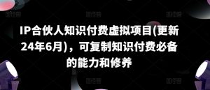 IP合伙人知识付费虚拟项目(更新24年6月)，可复制知识付费必备的能力和修养-沐风资源库