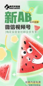 梅花实验室2024年AB技术视频号AB合成破解版-沐风资源库