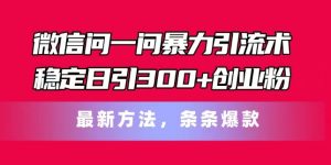 微信问一问暴力引流术，稳定日引300+创业粉，最新方法，条条爆款【揭秘】-沐风资源库