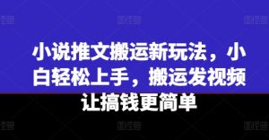 小说推文搬运新玩法，小白轻松上手，搬运发视频让搞钱更简单-沐风资源库