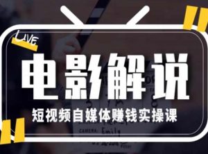 电影解说短视频自媒体赚钱实操课，教你做电影解说短视频，月赚1万-沐风资源库