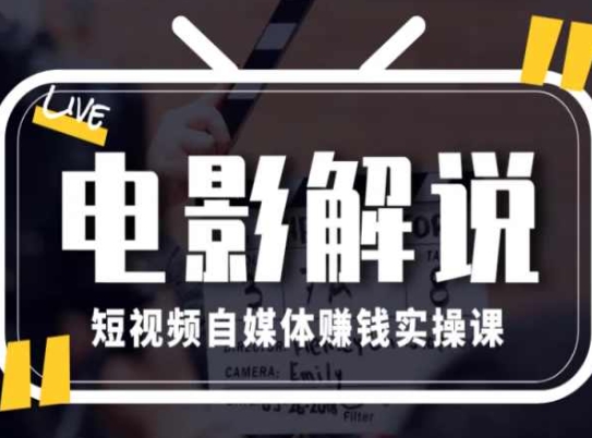 电影解说短视频自媒体赚钱实操课，教你做电影解说短视频，月赚1万-沐风资源库