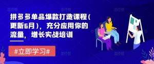 拼多多单品爆款打造课程(更新6月)，充分应用你的流量，增长实战培训-沐风资源库