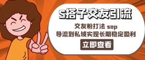 某收费888-S搭子交友引流，交友粉打法 sop，导流到私域实现长期稳定盈利-沐风资源库