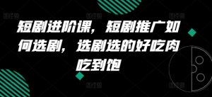 短剧进阶课，短剧推广如何选剧，选剧选的好吃肉吃到饱-沐风资源库