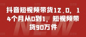 抖音短视频带货12.0，14个月从0到1，短视频带货90万件-沐风资源库